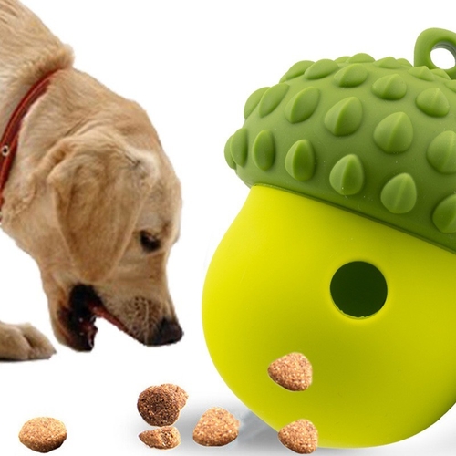Ultime notizie aziendali su I migliori prodotti per animali domestici in silicone per cani e gatti - accessori sicuri, personalizzabili e ecologici per l'uso quotidiano
