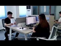 Introduzione della società