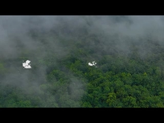 Scatola di pranzo del silicone